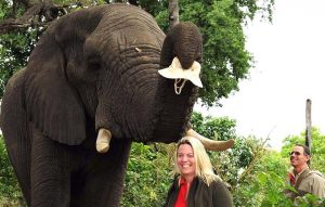 K.J. Howe does research with an impressively large friend. Hats off! 