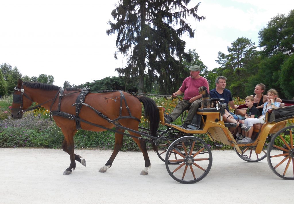 horse-drawn carriage at the castle