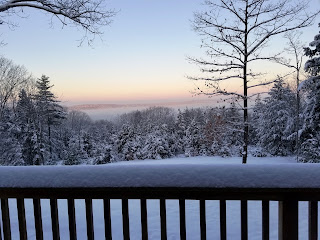 Dawn.... I'm sitting at my desk & glorying in this view of a winter wonderland.
